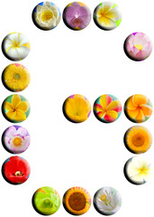 Lettre g, boutons fleuris 