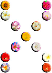 Lettre x, boutons fleuris 