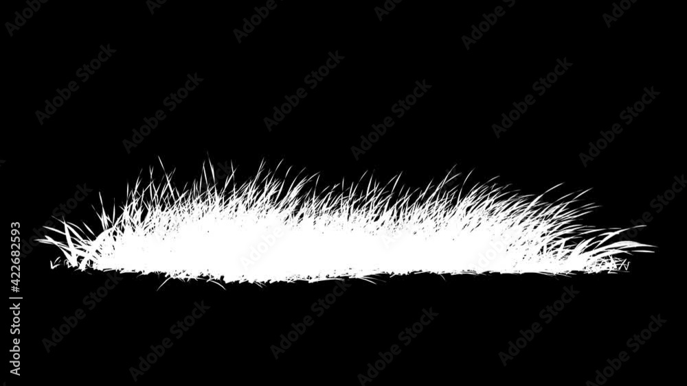 Wall mural grass wind loop with alpha channel. easy to use and change color you can place on footage or backgro