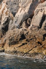 rocas en el mar, estructuras naturales en aguas cristalinas