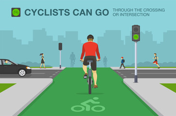 Back view of cyclist on a bicycle lane. City road with dedicated bicycle lane and traffic signal. Flat vector illustration template.