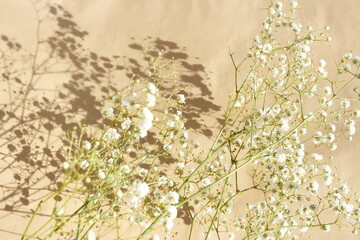 White gypsophila flowers or baby's breath flowers close up on beige  background selective focus...