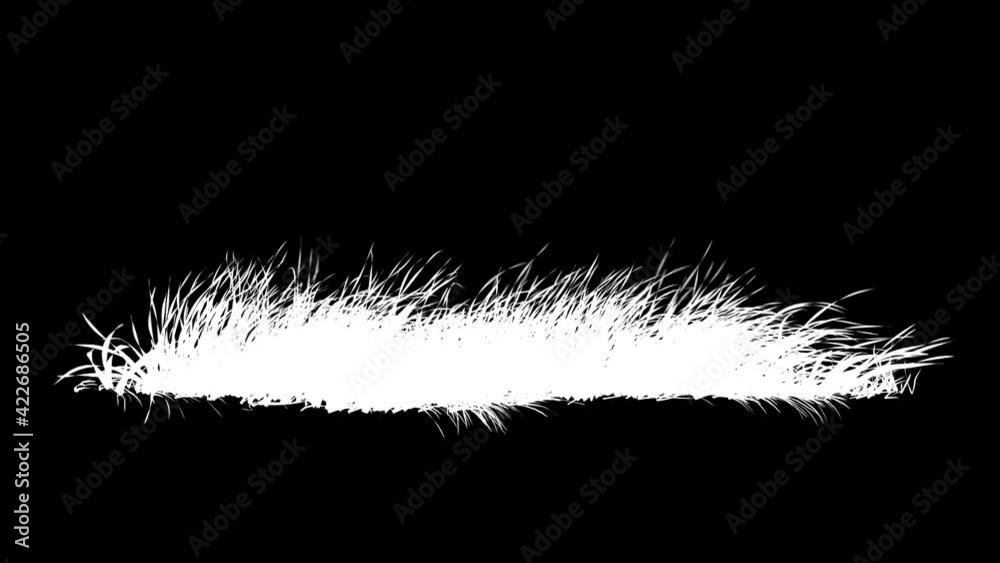 Wall mural grass wind loop with alpha channel. easy to use and change color you can place on footage or backgro