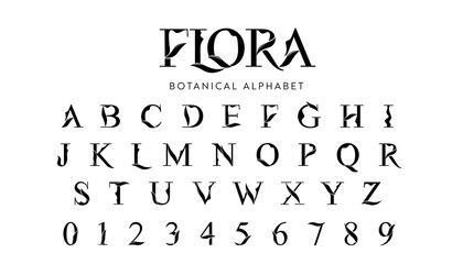 Vector Floral Alphabet with decorative leafs elements. Modern elegance font with uppercase letters. Vector Illustration.