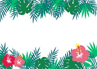 南国の植物のフレーム・背景