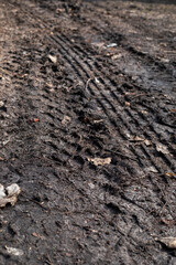 tire marks on a car on a country road, vertical