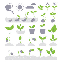 Sprouts icons set. Plant growth stages, seedlings. Seeds sprout from the ground. Leaves, germination, bio, eco, gardening, plant growing, planting, organic. Flat vector illustration.  - obrazy, fototapety, plakaty