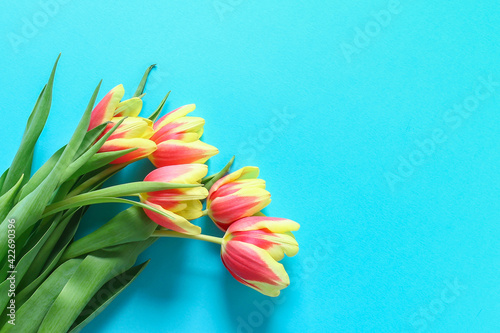 A bouquet of tulips as a gift for March 8, Mother's Day, Valentine's Day. Easter decor. Top view. Copy space. Flowers tulips on a blue background.