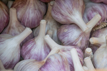 Close up organic garlic bulbs at farmers market