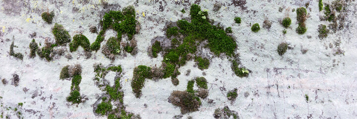 Green moss on white stone. Natural panoramic background