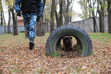 Almaty, Kazakhstan - 11.04.2014 : A dog handler trains a service dog on a special site of the center
