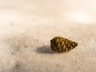 cone