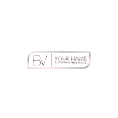 BV Initials handwritten minimalistic logo template vector