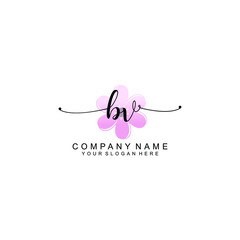 BV Initials handwritten minimalistic logo template vector