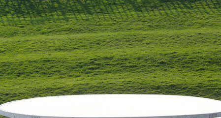 field of rice