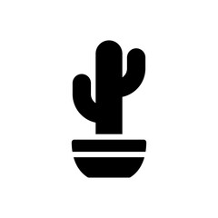 Obraz premium cactus