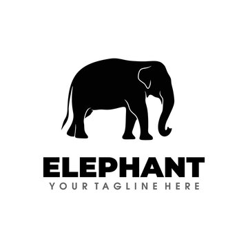Elephant Logo Design Vector Illustration