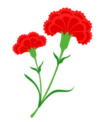 red carnation flowers vector illustration