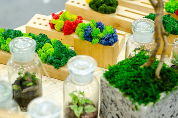 Preserved natural moss and Flowers terrarium for sale in the store