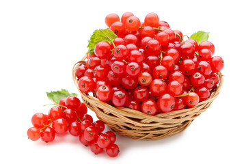 Fototapeta na wymiar Fresh red currants in basket with leafs isolated on white background