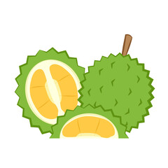 cartoon vector. Durian on white background.