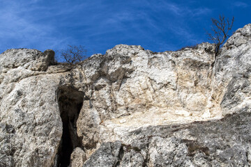 Lonely trees on top of a cliff with blue sky in the background