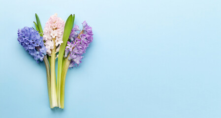 Hyacinth flowers bouquet