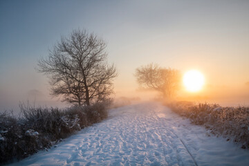 Schneelandschaft - Winter im Teufelsmoor bei Sonnenaufgang  - 422705769