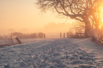 Schneelandschaft - Winter im Teufelsmoor bei Sonnenaufgang 
