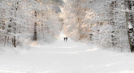 Romantischer Winterzauber- Schnee im Wald in Osterholz-Scharmbeck, Niedersachsen - 422706104