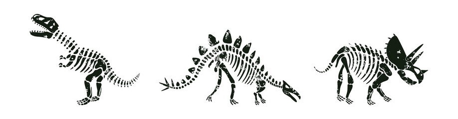 Vector set with dinosaurs skeletons silhouettes in white and black. Stegosaurus, t-rex and triceratops dinos on white background.