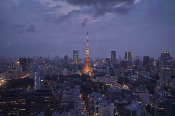 Fototapeta na wymiar Tokyo Tower and urban skyline rooftop view at night, Japan.