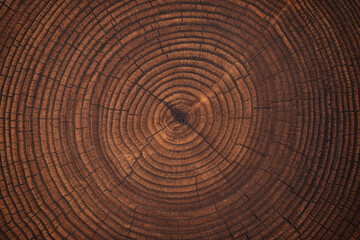 dark wood texture on a stump cut. annual rings old trunk background