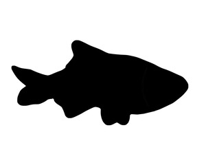 Black silhouette of fish on white background