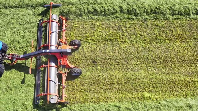 the belt swather places the swaths. belt merger