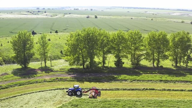 farmer in field. the belt swather places the swaths. belt merger