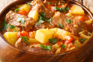 Traditional Italian beef stew with wine and vegetables close-up in a bowl on the table. horizontal