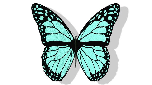 Animazione illustrazione 3D. Farfalla colorata vola con le ali aperte su sfondo bianco..