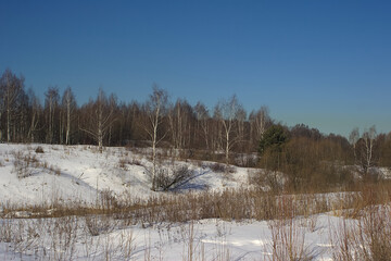 the edge of the forest on the outskirts of the city