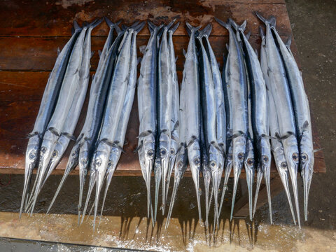 Closeup view of fresh silver needle fish for sale in Waikabubak market, Sumba island, East Nusa Tenggara, Indonesia