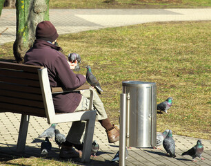 The pensioner sits on a bench and feeds the pigeons. Life in old age.