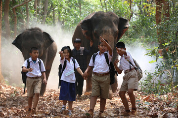 Students Walk To School Through Forest Alongside Elephants