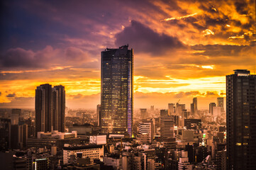 Fototapeta na wymiar Sunset of Tokyo Skyline and the Illuminated City. Lights in Windows and Dusk View of Big Endless City.