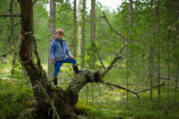 Naklejka na ściany i meble a 7-9-year-old boy in a blue denim jacket walks in the summer forest, selective focus