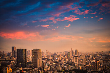 Fototapeta premium Aerial view of Tokyo cityscape at blue hour, at dusk. Birds eye view of Tokyo, Japan