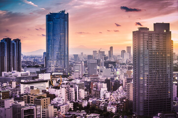 Fototapeta na wymiar Tokyo, Japan cityscape with Shinjuku Ward and Mt. Fuji in the distance at dusk.