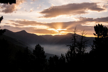 Summer landscape in La Cerdanya, Pyrenees, Spain