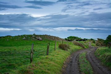 Dirt road winding through green fields towards the sea. Stormy winter day at Cape Egmont, New Zealand