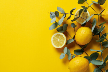 Beautiful eucalyptus branches and lemons on yellow background