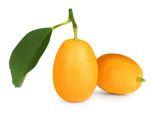 Fresh ripe kumquats with leaves on white background. Exotic fruit